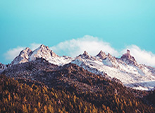 中超冠军大帅对话亚冠金牌教练 奥帅：亚冠决赛见